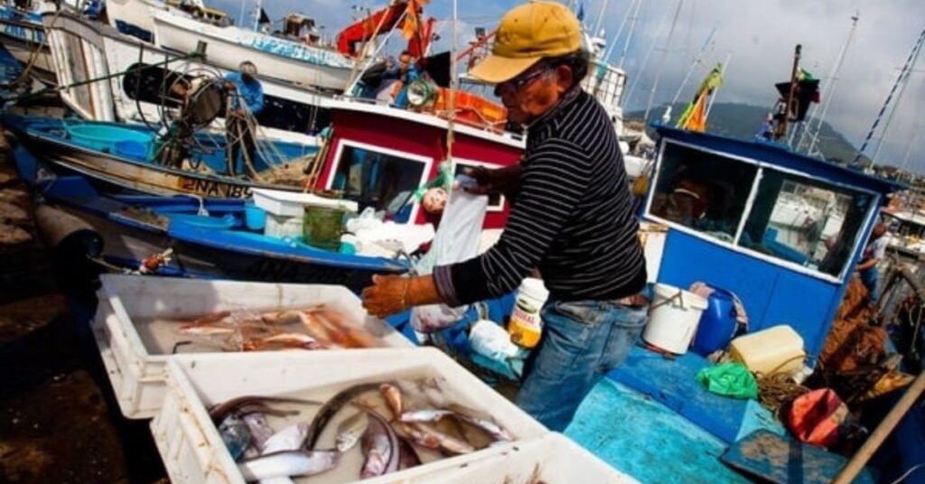 marché poisson Pozzuoli